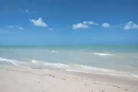 Depuis Mérida : Observation des flamants roses à Celestún avec déjeuner
