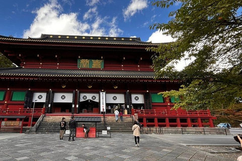 Aventura de Élite en Nikko: Tour guiado privado