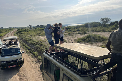 Kasese: 3 Day Queen Elizabeth Classic Safari & Boat Safari