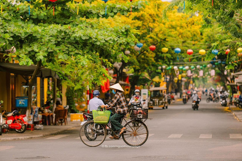 Da Nang: My Son Sanctuary och Hoi An Dagstur med privat bil