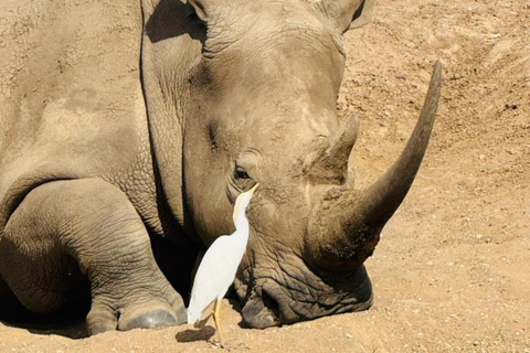 Nairobi National Park&Elephant Orphanage&Giraffe Centre Tour