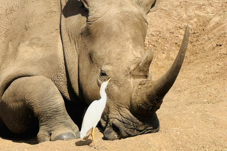 Nairobi National Park&Elephant Orphanage&Giraffe Centre Tour