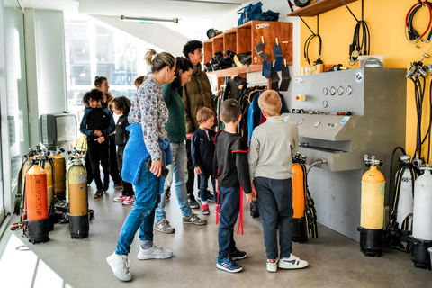 Marseille: Cosquer Grot toegangsbewijs met audiogids