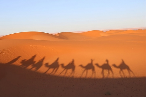 Van Fès: Merzouga (1 nacht), Ouarzazat (1 nacht), MarrakechVan Fès: woestijnreis naar Merzouga, Ouarzazat en Marrakech