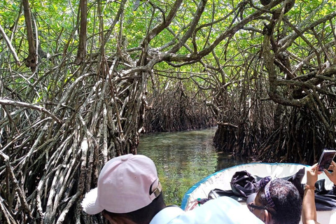From Colombo: Galle Fort, Madu River, Bentota Day Tour