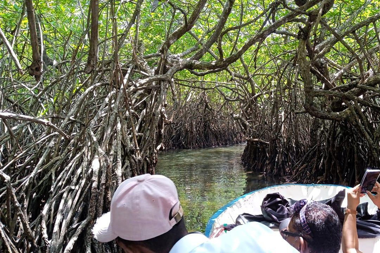 From Colombo: Galle Fort, Madu River, Bentota Day Tour