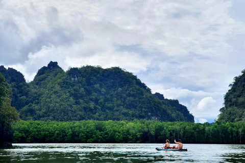 Langkawi: Mangrove Kayak Tour with Wildlife Spotting