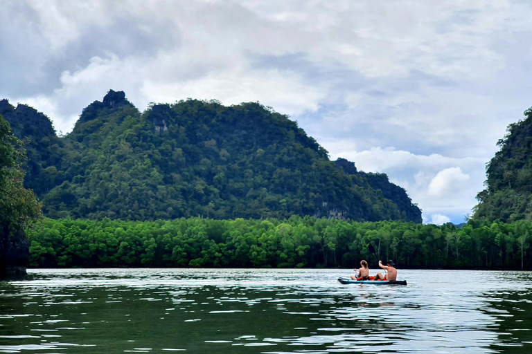 Langkawi: Mangrove Kayak Tour with Wildlife Spotting