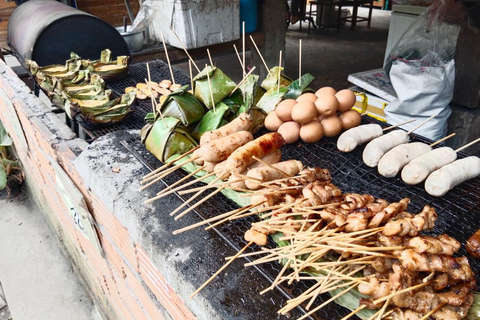 Chiang Mai: Passeio pela vila de Mae Kampong, fontes termais e Bor Sang