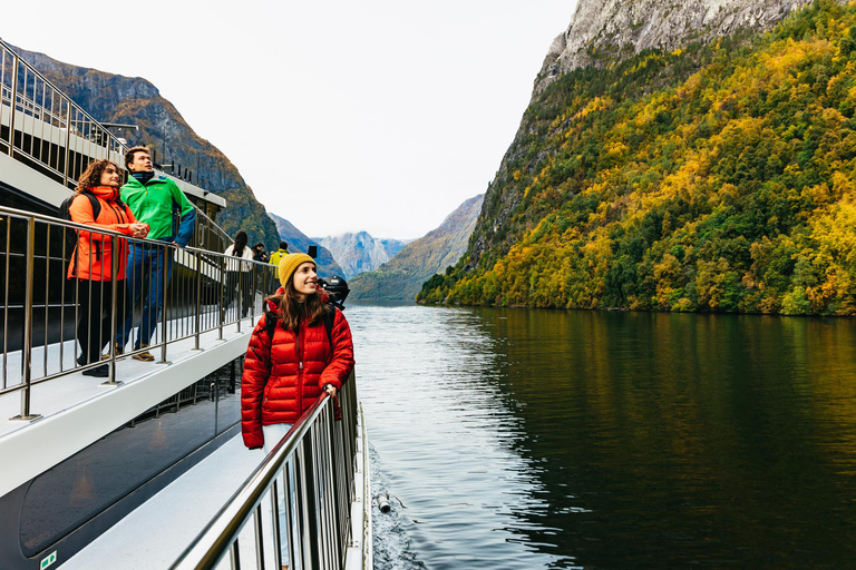 Bergen: excursión autoguiada de día completo de ida y vuelta