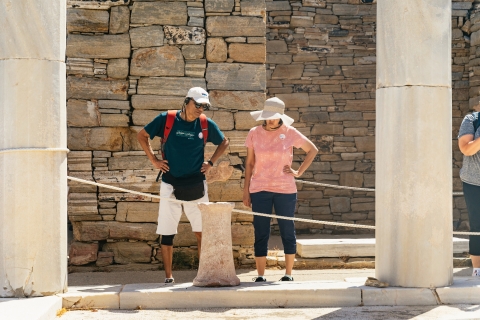 From Mykonos: Delos Guided Tour with Skip-the-Line Tickets Tour in Italian