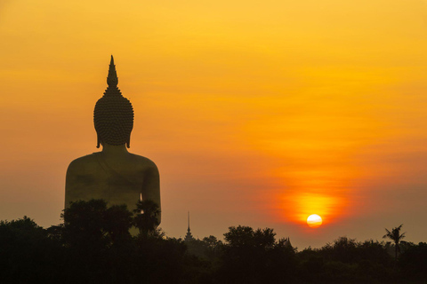 Wat Muang Angthong & Ayutthaya UNESCO Temples Private Tour