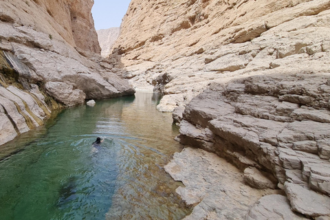 From Muscat: Wadi Al Arbieen Adventure, Sinkhole, Fins Beach