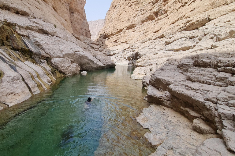 From Muscat: Wadi Al Arbieen Adventure, Sinkhole, Fins Beach