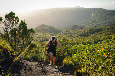Maurice : randonnée guidée dans les gorges de la Rivière NoireMaurice : Randonnée guidée dans les gorges de la Rivière Noire