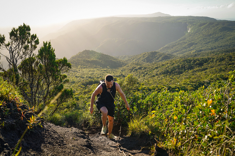 Maurice : randonnée guidée dans les gorges de la Rivière NoireMaurice : Randonnée guidée dans les gorges de la Rivière Noire
