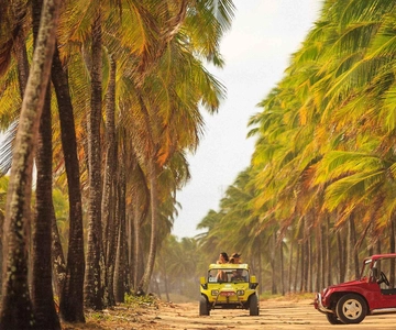 Aventura de Buggy em Porto de Galinhas – Explore Praias Paradisíacas!