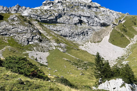 Luzern: Guided Hike to Pilatus with Swiss Triathlete