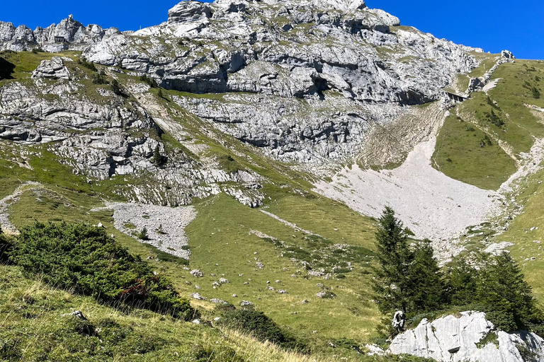 Luzern: Guided Hike to Pilatus with Swiss Triathlete