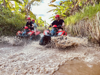 Ubud, ATV Quad Biking Adventure Guided Tour - Housity