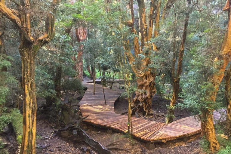 Private Full-day Tour in Bariloche with optional Airfare. Airfare Excluded