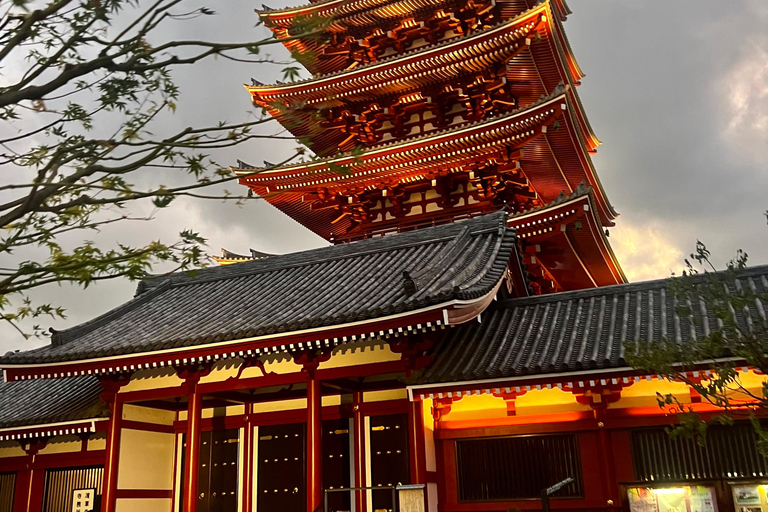 Tokyo: Private Customised Guided City Tour with Photographer