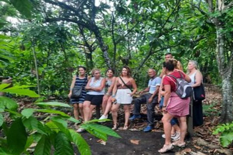 Private: City Tour with Lunch, Rum, and Chocolate