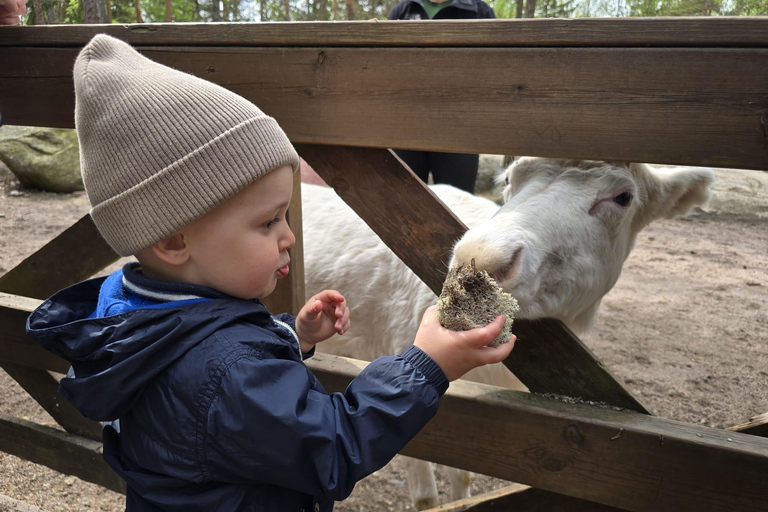 赫尔辛基：驯鹿公园与马厩私人游赫尔辛基：驯鹿公园与马厩私人导览游