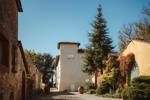 Firenze: caccia al tartufo con pranzo, vino e San GimignanoFirenze: Caccia al tartufo con pranzo, vino e San Gimignano
