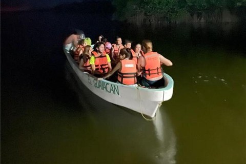 Huatulco: Tour Bio y Liberación