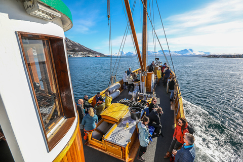 Tromsö: Fjord- och historiekryssning