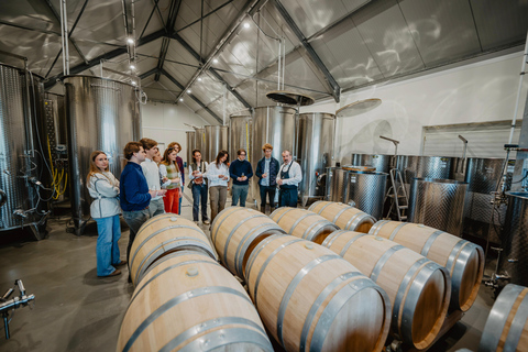 Boat trip & wine tour in Bruges