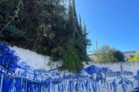 Escursione di un giorno a Chefchaouen da Tangeri