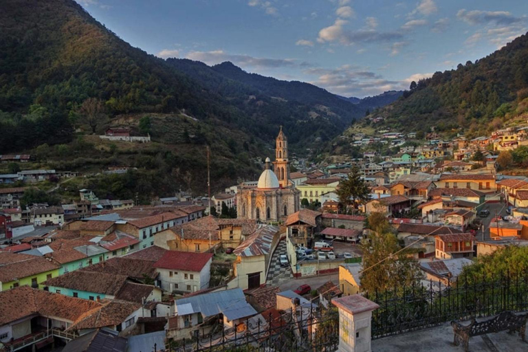 Tour delle farfalle monarca in Messico: Sierra Chincua e AngangueoPrivato