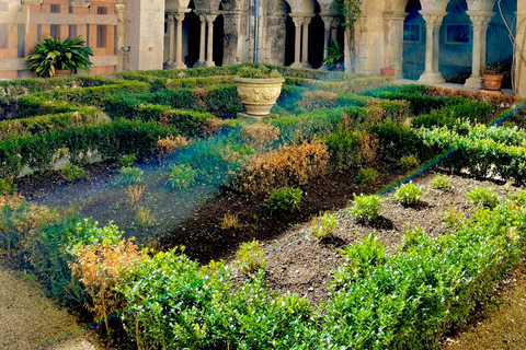 追随梵高的脚步