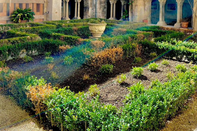 追随梵高的脚步