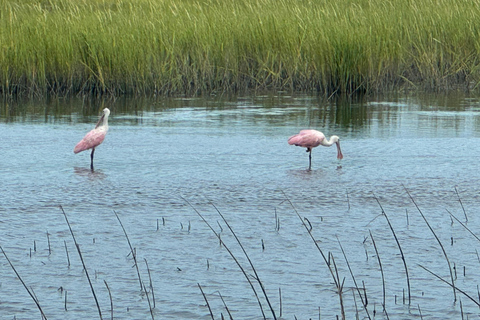 Crociera fluviale privata di 2 ore con sosta a Morris Island