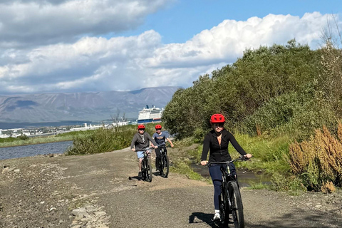 Akureyri: E-Bike Tour with Forest Lagoon Entry