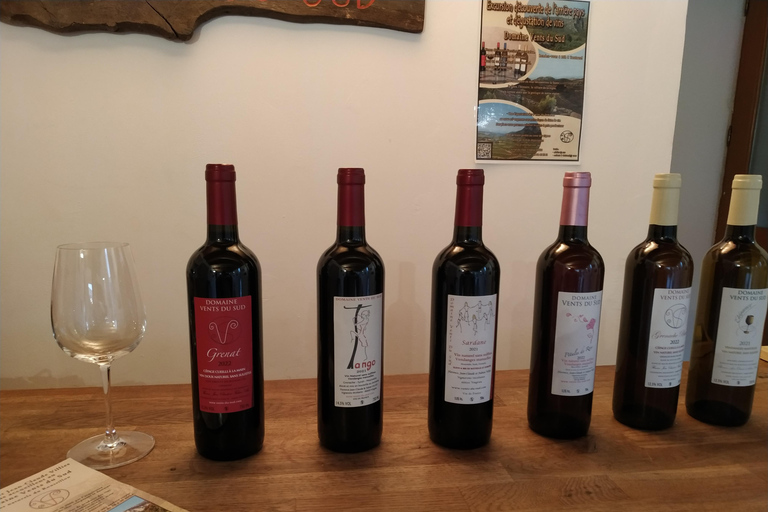 vingrau : wine tasting