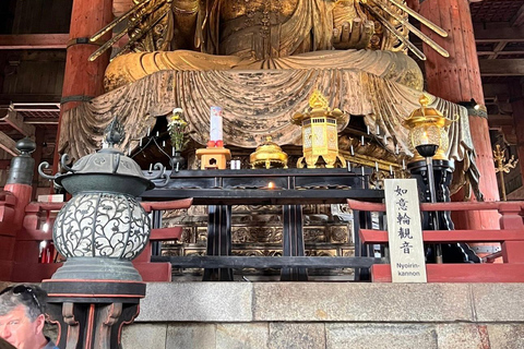 From Osaka/Kyoto: Nara One Day Private Tour