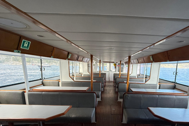 Naples: Ferry Journey Between Naples and Amalfi Naples → Amalfi (One Way)