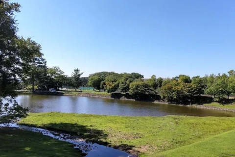 Osaka: Discovering Nara Timeless Grace Guided Tour