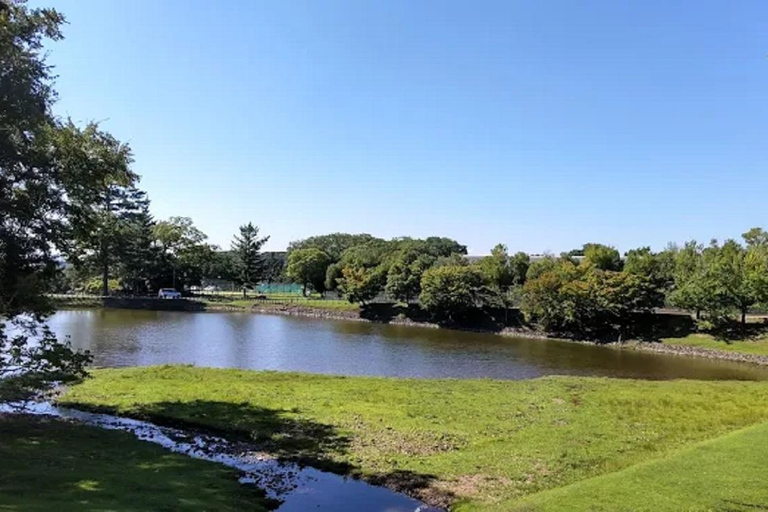 Osaka: Discovering Nara Timeless Grace Guided Tour