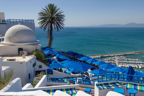 Tunis, Carthage & Sidi Bou Said Guided Tour with 3 Options Option 1: Full Day without: Lunch Tickets Carthage and Guide