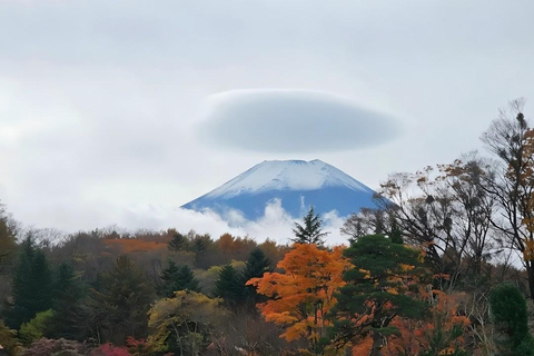 Tokyo: Full-day tour of the four Majestic spots of Mt Fuji