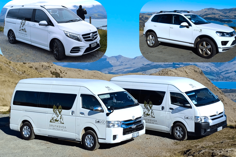 Lyttelton: Akaroa including The Giants House Shore Excursion Small Group Shore Excursion: Akaroa, from Lyttelton