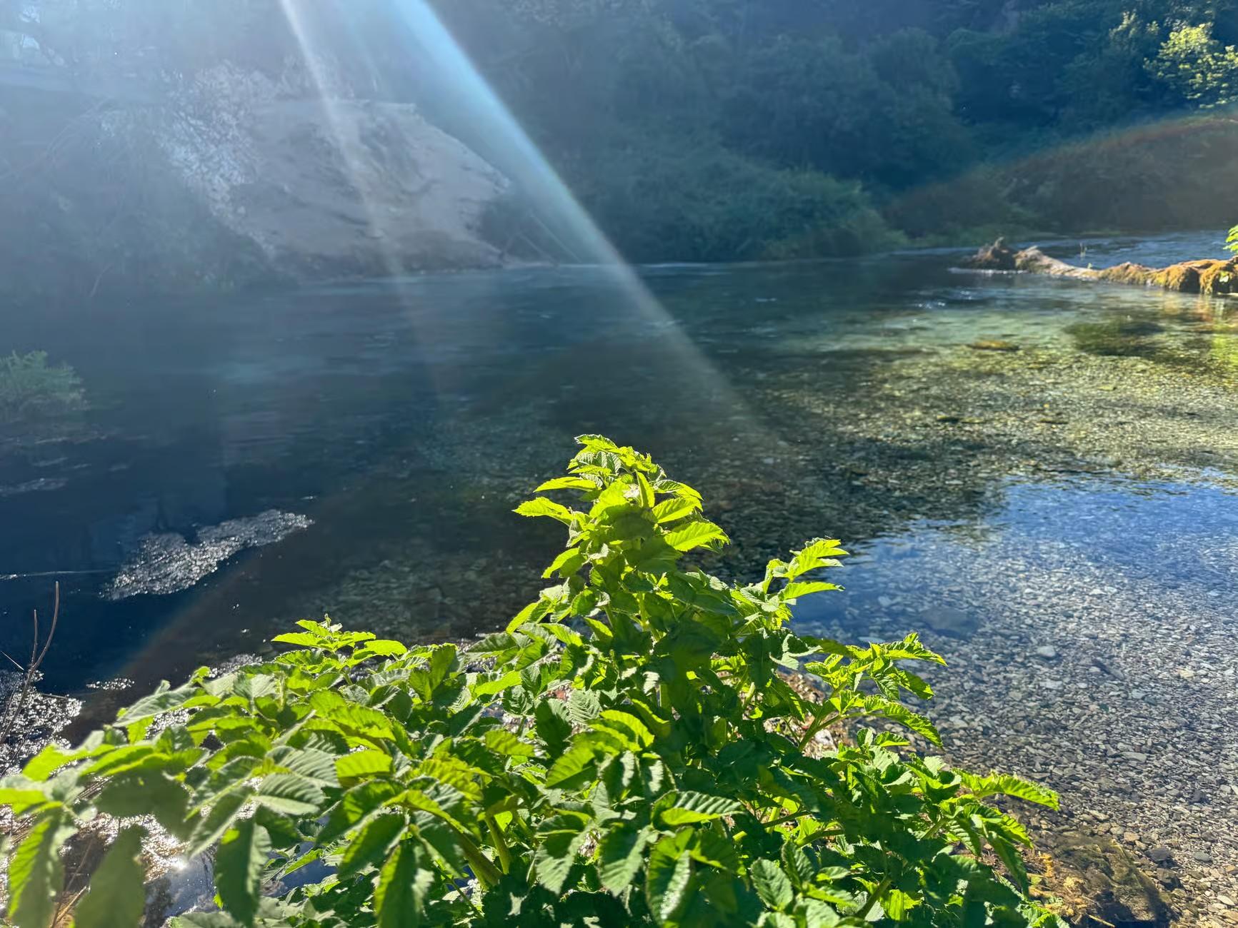Ab Vlora: Tagestour zum UNESCO-Weltkulturerbe Butrint, nach Saranda und zum „Blauen Auge“