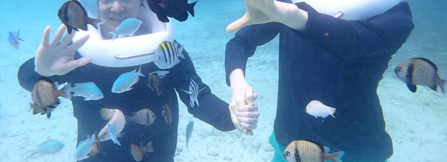 Panglao : expérience de plongée avec casque, photos et vidéos à l'appui