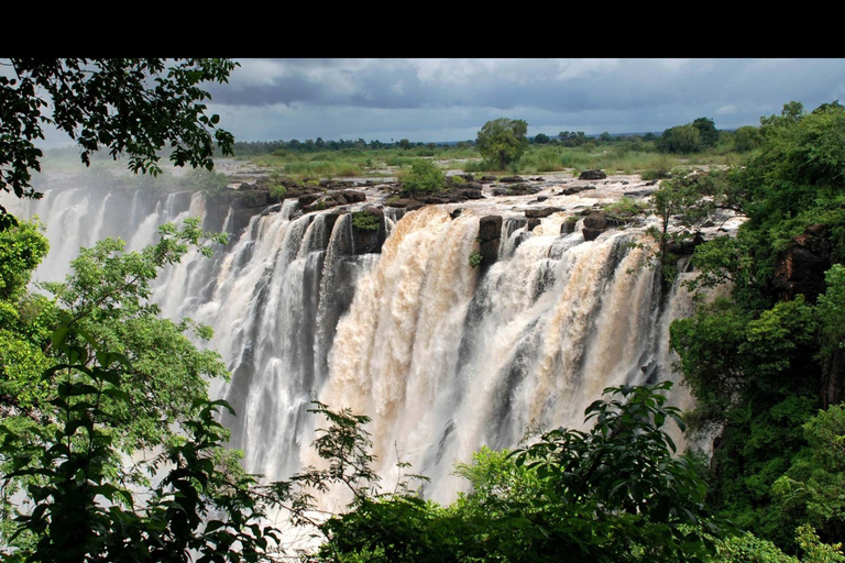 Victoria Falls: Guided Tour with Big Tree & Market Visit