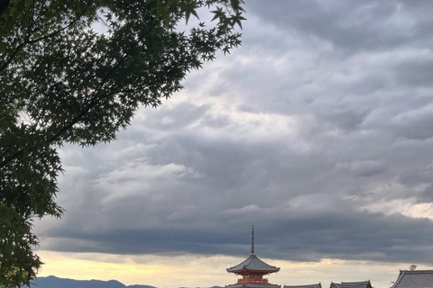 Kyoto: Private Tour with Nara included and English Driver